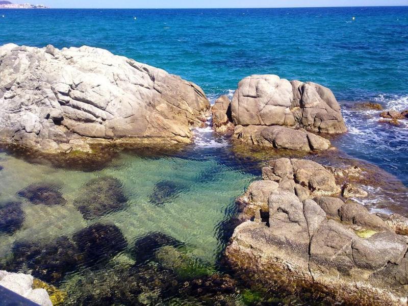 Hotel Cap Roig & Spa By Brava Hoteles Platja d'Aro Εξωτερικό φωτογραφία
